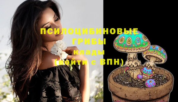 каннабис Белокуриха