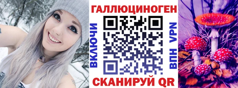 закладки  Кулебаки  Галлюциногенные грибы MAGIC MUSHROOMS 